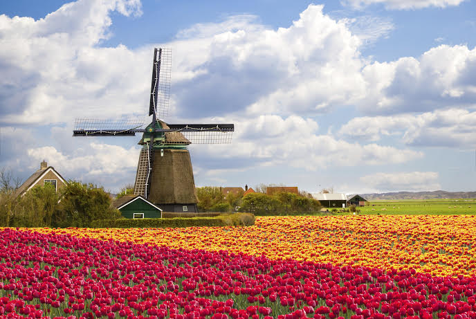 Lý do bạn nên đến Hà Lan vào mùa xuân