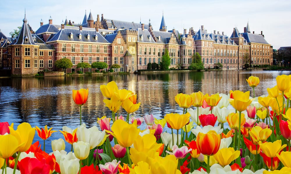 Lý do bạn nên đến Hà Lan vào mùa xuân